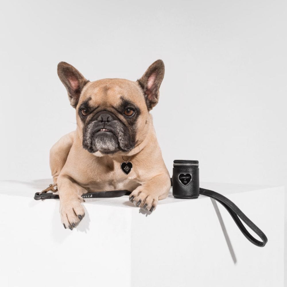 Le Cleo - Trio d'accessoires en cuir vegan noir pour chien